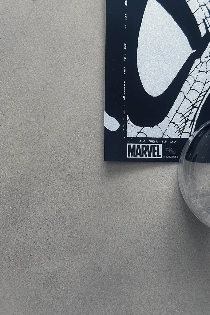 Spider-Man #1 - Silver by Todd McFarlane