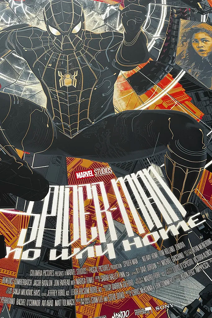 Spider-Man: No Way Home by Matt Taylor